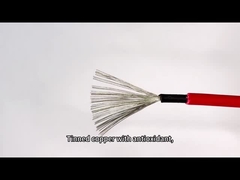 DC จัดอันดับแผงเซลล์แสงอาทิตย์สีดำสีแดงสาย PV 4mm2 ลวดคุณภาพหุ้มฉนวนสองชั้น